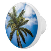 ジャマイカパームツリー セラミックノブ (右)