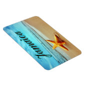 ジャマイカヒトデ マグネット (右側)