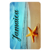 ジャマイカヒトデ マグネット (縦)