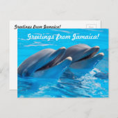 ジャマイカポストカードからの挨拶 ポストカード (正面/裏面)