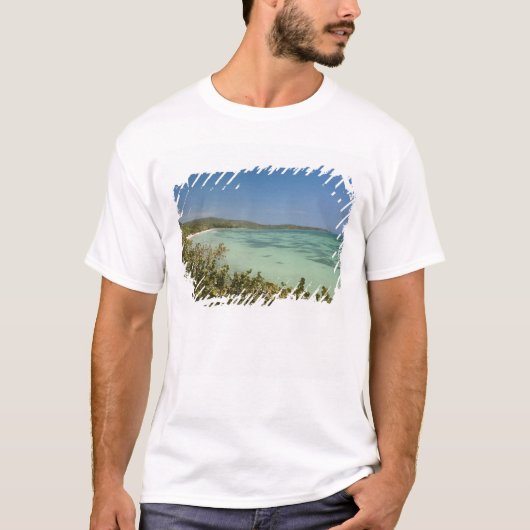 ジャマイカ南西部ブルーフィールズ海岸 Tシャツ (正面)