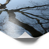 ジャマイカ池の冬， 8x10写真プリント フォトプリント            (角)