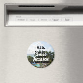 ジャマイカ磁石 マグネット (インサイチュ (食洗機))