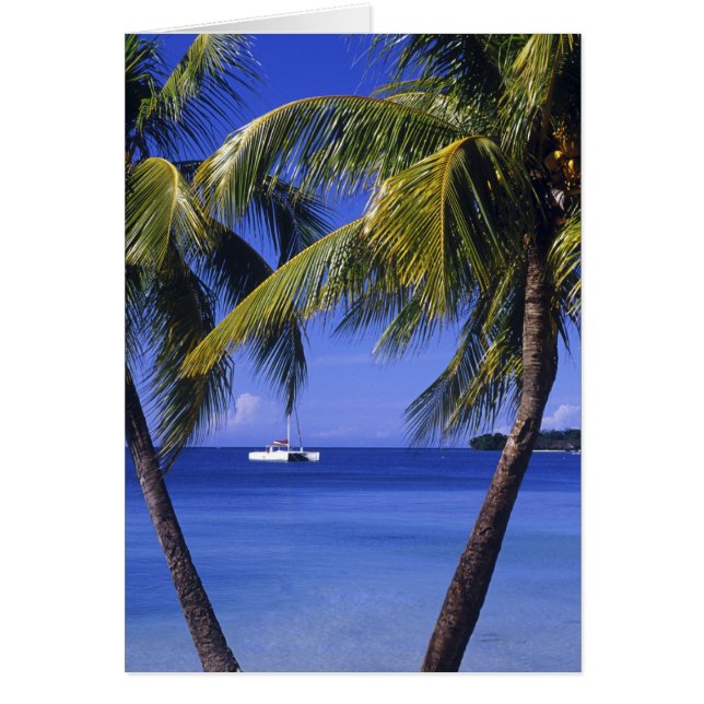 ジャマイカ，ネグリルのビーチ (正面)