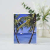 ジャマイカ，ネグリルのビーチ ポストカード (スタンド正面)