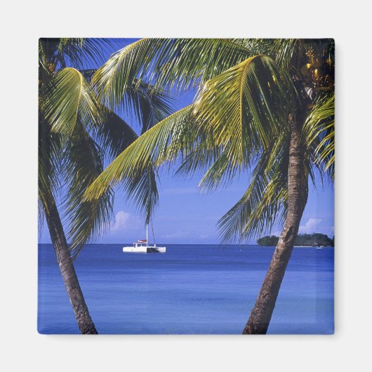 ジャマイカ，ネグリルのビーチ マグネット (正面)