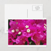 ジャマイカ・ネグリル ポストカード (正面/裏面)