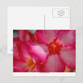 ジャマイカ・ネグリル ポストカード (正面/裏面)