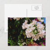 ジャマイカ・ネグリル ポストカード (正面/裏面)