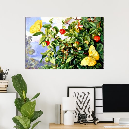 ジャマイカ，ピタンガの葉，花と果実 ポスター (ホームオフィス)