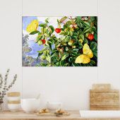 ジャマイカ，ピタンガの葉，花と果実 ポスター (キッチン)