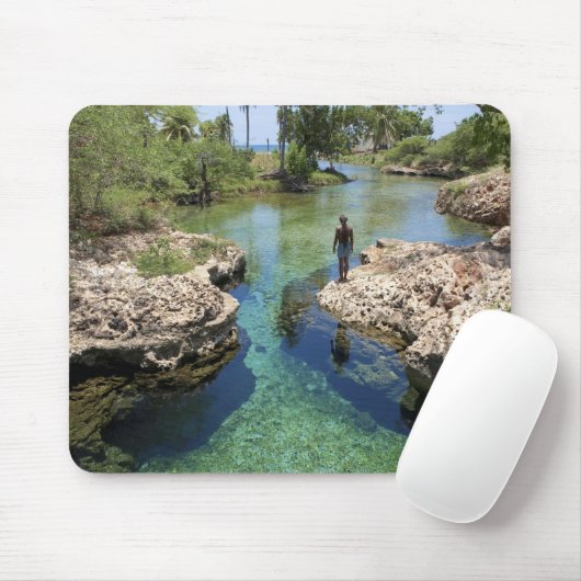 ジャマイカ、ブラックリバータウンアリゲーターホール マウスパッド (マウス)