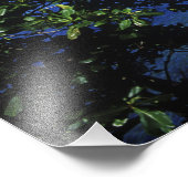 ジャマイカ，ポートアントニオ，ブルーラグーン フォトプリント            (角)