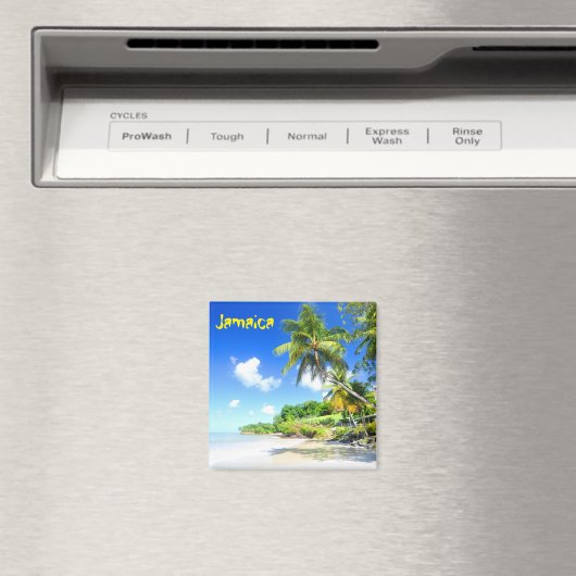 ジャマイカ マグネット (インサイチュ (食洗機))