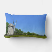 ジャムスタウン風車 ランバークッション (正面)