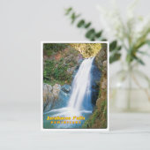 ジャラバコア秋ドミニカナ ポストカード (スタンド正面)