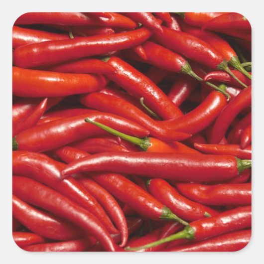 ジャラペノス スクエアシール (正面)