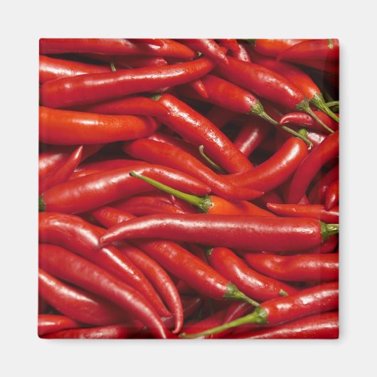 ジャラペノス マグネット (正面)