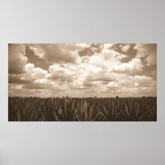 ジャリスコメキシコアガベパラダイス ポスター