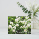 ジャルダンデデン ポストカード (スタンド正面)