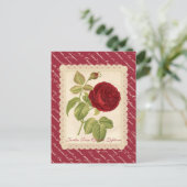 ジャルダンバラシャルルレフェブル ポストカード (スタンド正面)