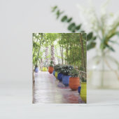 ジャルダン・マジョレレ、マジョレレ・ガーデン、今は一般公開 ポストカード (スタンド正面)