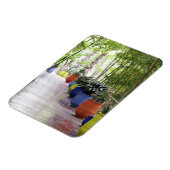 ジャルダン・マジョレレ、マジョレレ・ガーデン、今は一般公開 マグネット (左側)