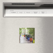 ジャルダン・マジョレレ、マジョレレ・ガーデン、今は一般公開 マグネット (インサイチュ (食洗機))