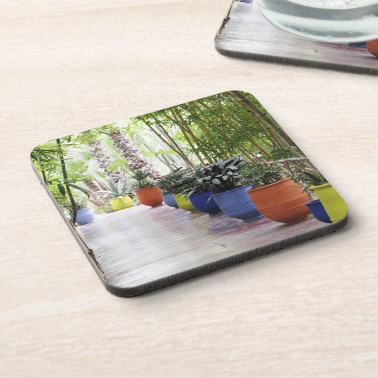 ジャルディン·マジョレル·マジョレル·ガーデン,今は一般公開 コースター (左側)