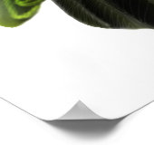 ジャルディーヌフレンドリーパロットプリント ポスター (角)