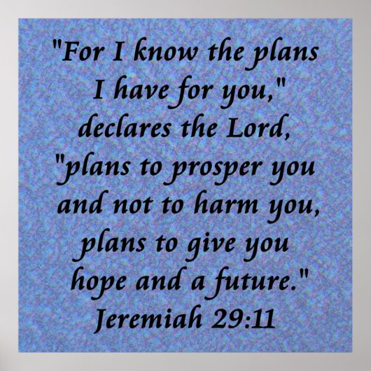 ジャルミヤ29-11ポスター ポスター (正面)