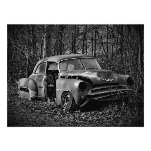 「ジャロピッド」 フォトプリント            (正面)