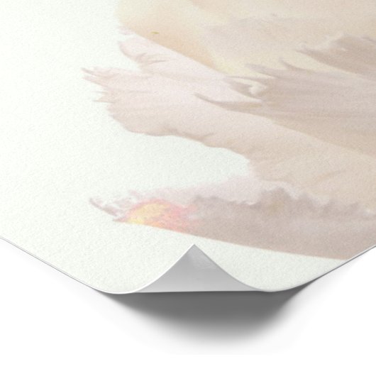 ジャロー ポスター (角)