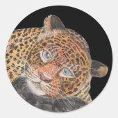 ジャワトラ ラウンドシール (正面)