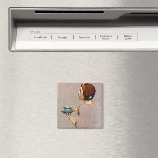 ジャワ杯 マグネット (インサイチュ (食洗機))