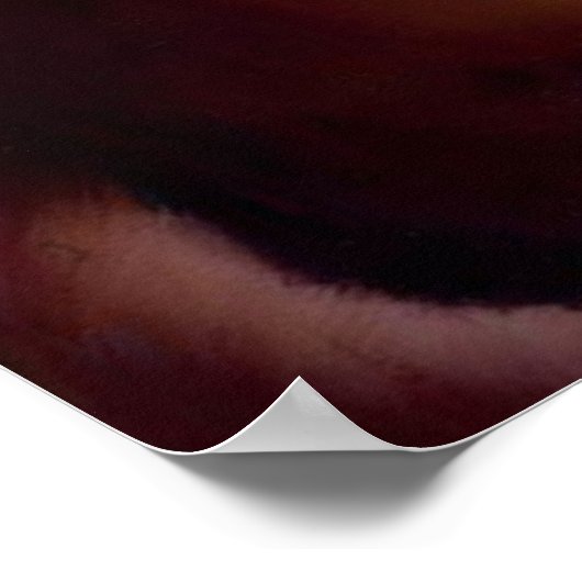 ジャワ猫 ポスター (角)