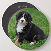 ジャンカスタムボのペットのピン愛して！ 缶バッジ (正面&裏面)