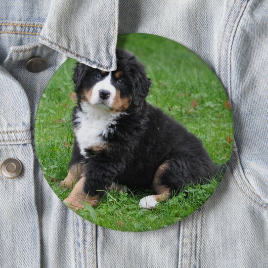 ジャンカスタムボのペットのピン愛して! 缶バッジ (インサイチュ)