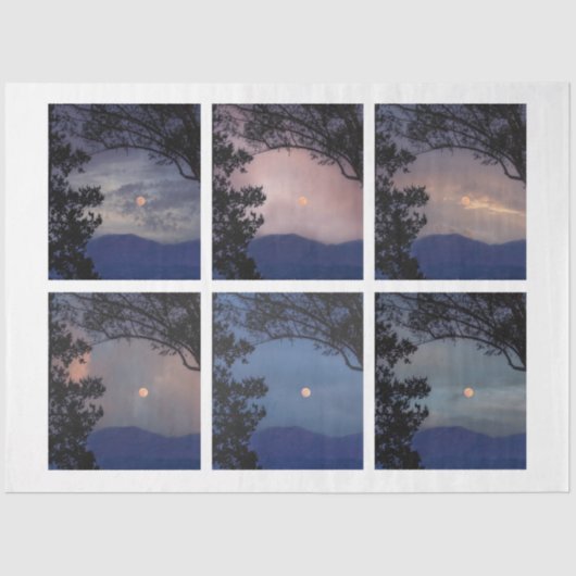 ジャンクジャーナル妖精の国スカイムーンツリーズファンタジー19-24 薄葉紙 (正面)