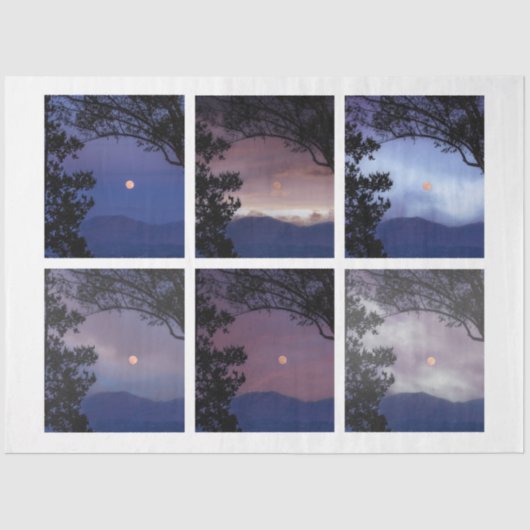 ジャンクジャーナル妖精の国スカイムーンツリーズファンタジー1-6 薄葉紙 (正面)