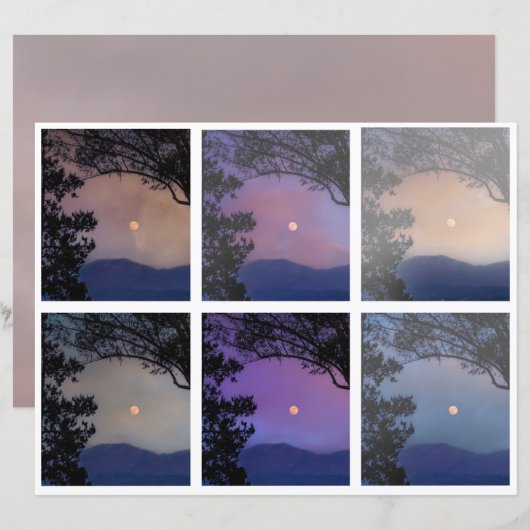 ジャンクジャーナル妖精の国スカイムーンツリーズファンタジー7-12 (正面/裏面)