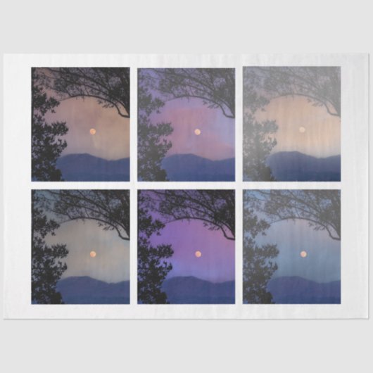 ジャンクジャーナル妖精の国スカイムーンツリーズファンタジー7-12 薄葉紙 (正面)