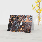 ジャンクパイルサビと真菌の静止寿命 カード (黄色い花)