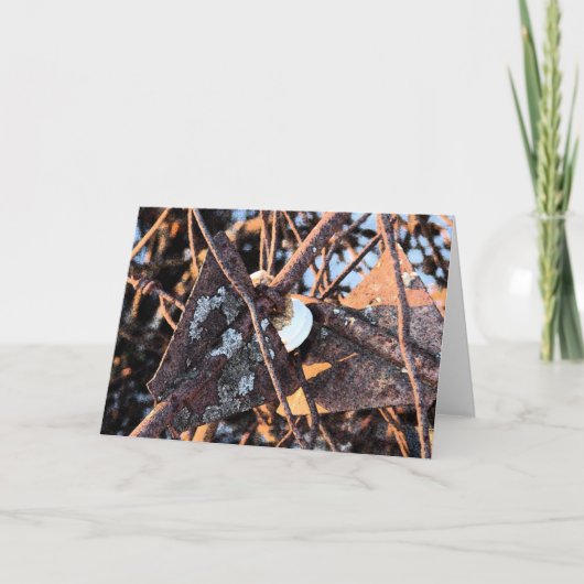 ジャンクパイルサビと真菌の静止寿命 カード (正面)