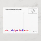 「ジャンクメール」撮影 ポストカード (裏面)