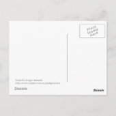 ジャングカラフルル動物 ポストカード (裏面)