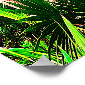 ジャングカリブのルパームの木の家 ポスター (角)