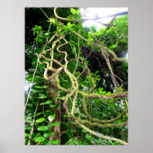 ジャングルつる植物 ポスター (正面)
