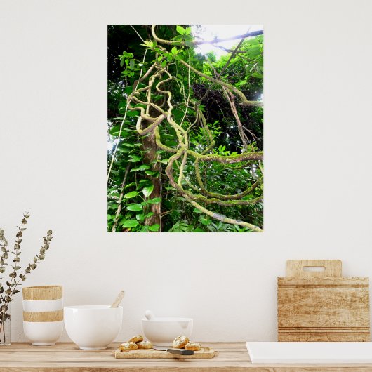 ジャングルつる植物 ポスター (キッチン)