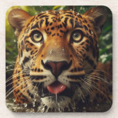 ジャングルで水をラッピングしながらヒョウが動く コースター (正面)